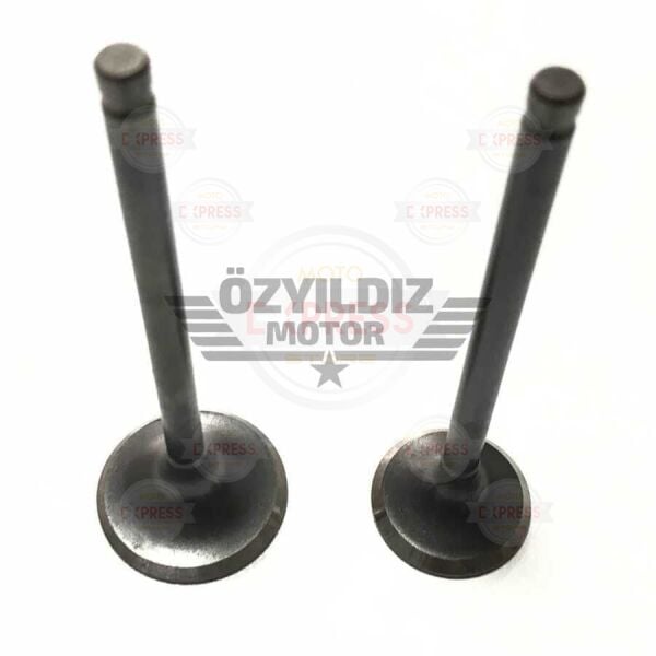 Moto Express SUPAP KUBA GOLF TK