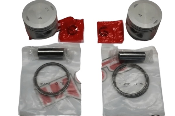 XV 250 CC PİSTON KİT 49.50 MM 13 PERNO