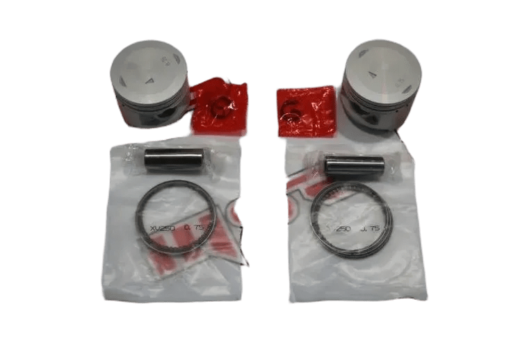 XV 250 CC PİSTON KİT 49.75 MM 13 PERNO
