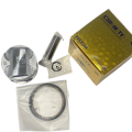 Moto Express PİSTON SEGMAN DİSCOVER 125 025
