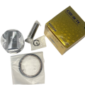Moto Express PİSTON SEGMAN DİSCOVER 125 025