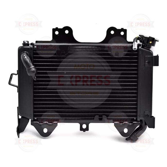 Bajaj Pulsar NS200 2014-2024 Boş Radyatör A