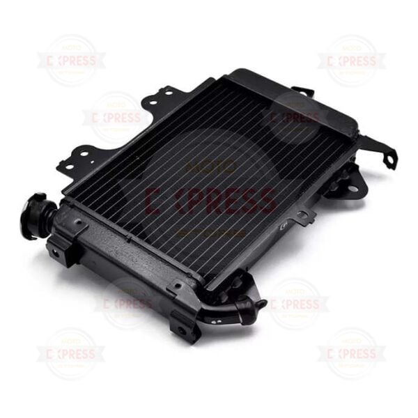 Bajaj Pulsar NS200 2014-2024 Boş Radyatör A