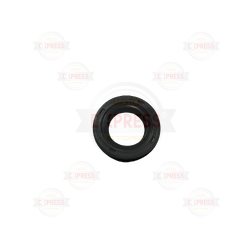 VİTES MANDAL KEÇESİ NS RS 200 DOMİNAR