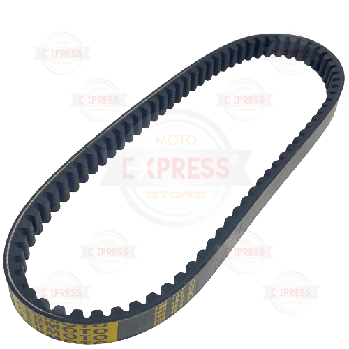 Moto Express KAYIŞ AN-125 CSR