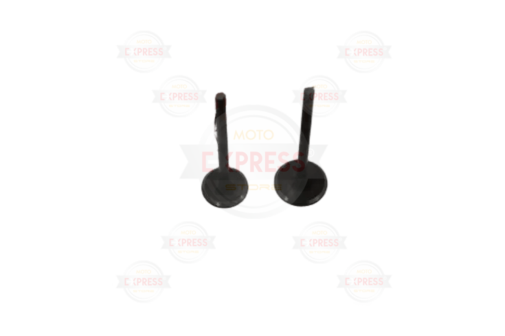 Honda Wave 110 İ Enjeksiyonlu Subap Tk