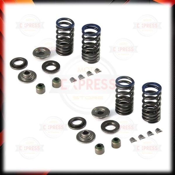 Bajaj Discover 125ST 150F-S 2013-2016 Subap Yayı Tırnağı Keçesi Kepi Takımı A