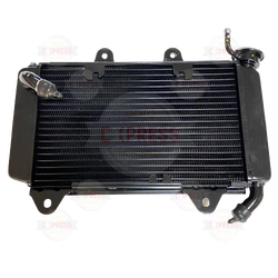 Moto Express RADYATÖR KOMPLE RS200 A