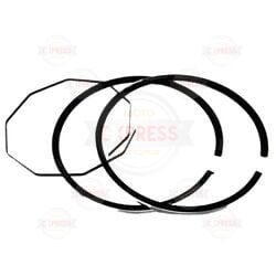 Moto Express SEGMAN KİNETİC 025