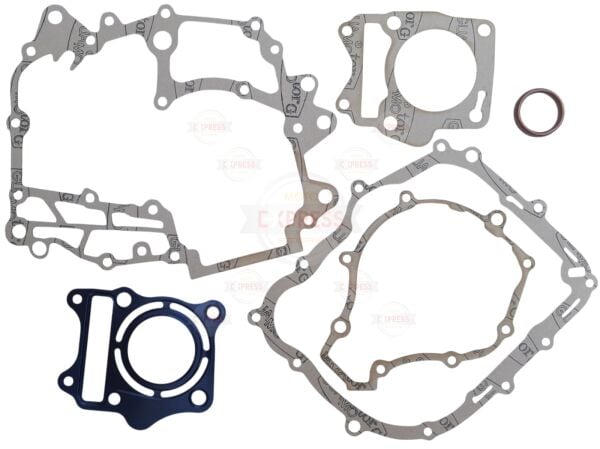 Tvs Raider 125 Conta Seti
