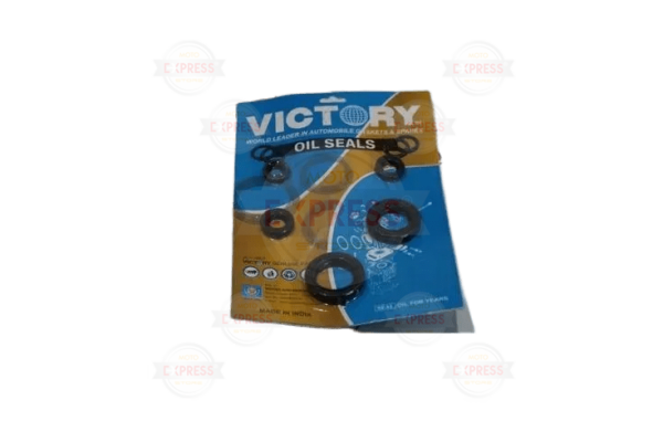 Bajaj Pulsar Ns 200 Keçe Seti