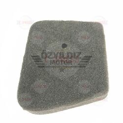 Moto Express HAVA FİLİTRE ELEMANI CD100
