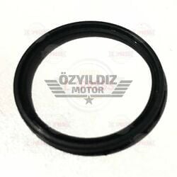 Moto Express KASNAK KEÇESİ WEGO A