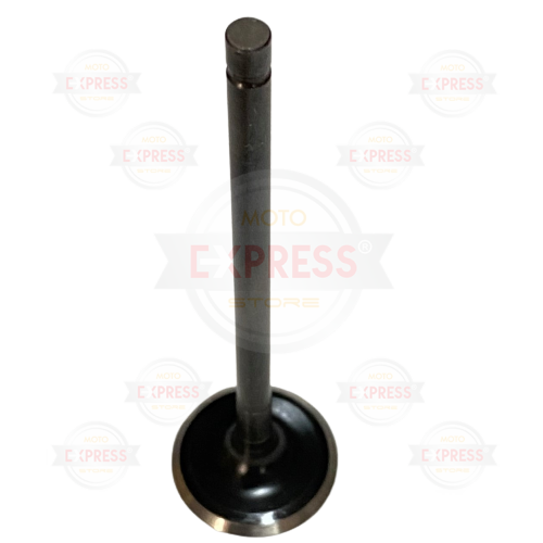 Moto Express SUPAP EGZOZ NS200 A