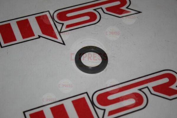 Moto Express YAMAHA YBR MARŞ MİLİ KEÇE ( 30-4-20) HİNDİSTAN