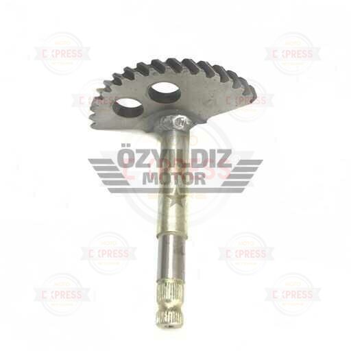 Moto Express MARŞ MİLİ NOVA