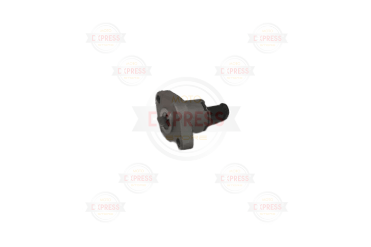 Today Eksantrik Zincir Gergisi Oem