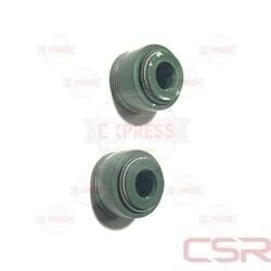 Moto Express SUPAP KEÇESİ AGK TK