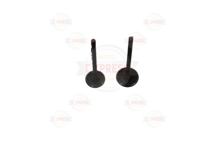 Ybr 125 Subap Takımı