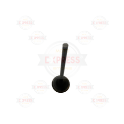 Moto Express SUPAP CBR 250 A EGZOZ