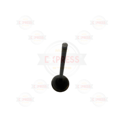 Moto Express SUPAP CBR 250 A EGZOZ