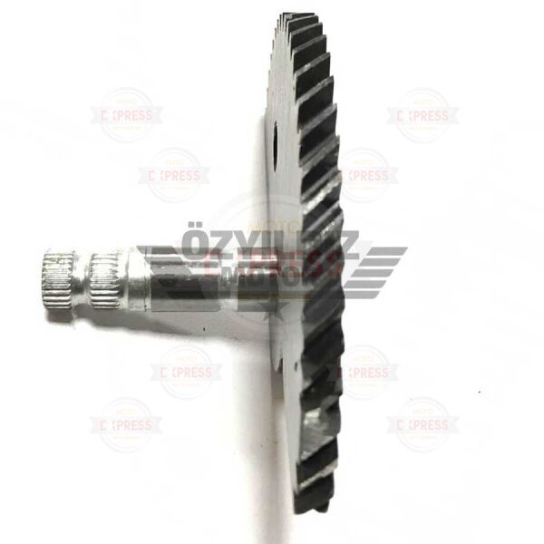 Moto Express MARŞ MİLİ AGILITY