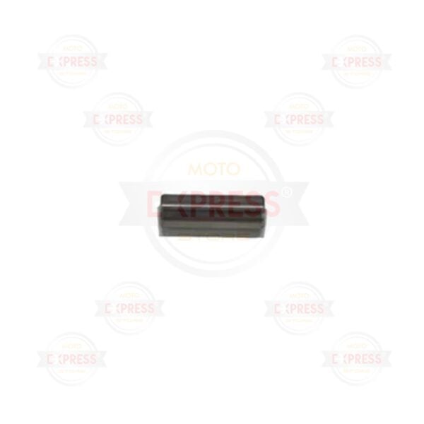 Today Piston Pernosu Oem