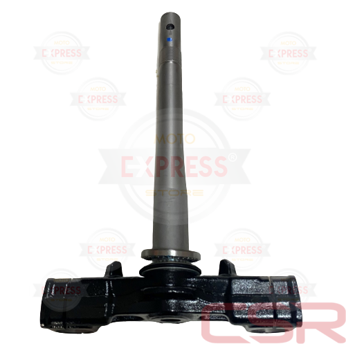 Moto Express MAŞA PCX 2018 A