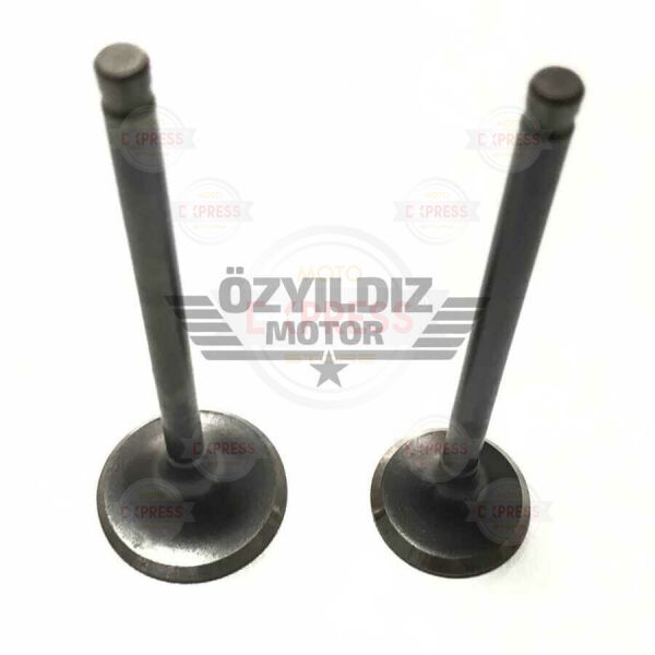 Moto Express SUPAP AGILITY TK