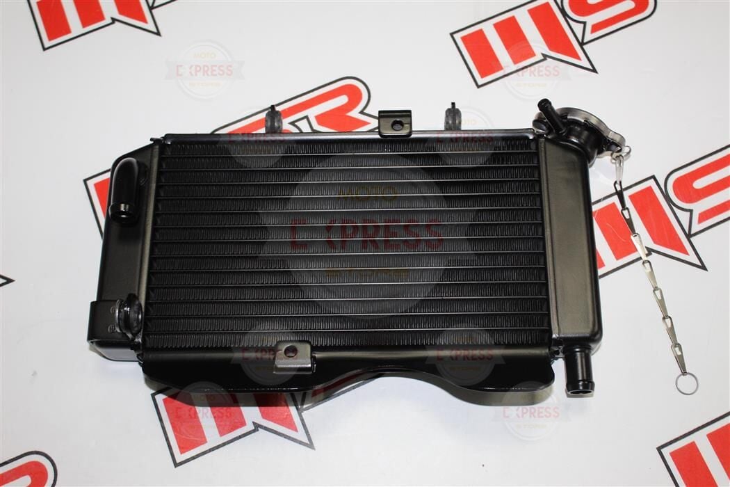 Cf Moto 250 Nk Radyatör E5