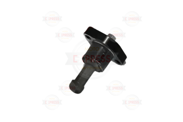 Bajaj Pulsar 200 Ns Eksantrik Zincir Gergi