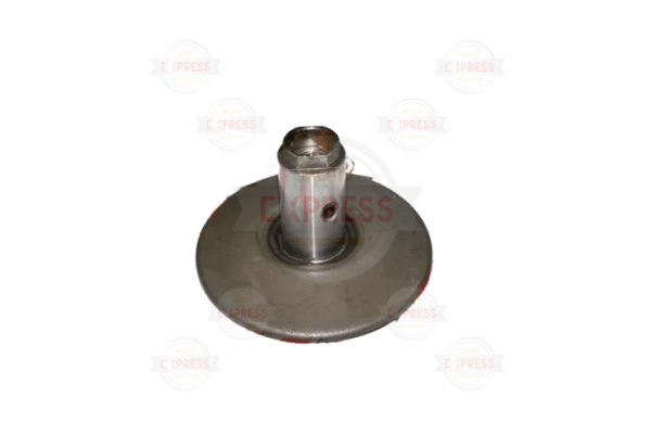 Activa Arka Sabit Kasnak