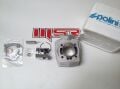 Moto Express PEUGEOT 46 MM SİLİNDİR SET POLINI PRC