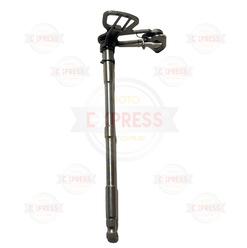 Moto Express VİTES MİLİ R25