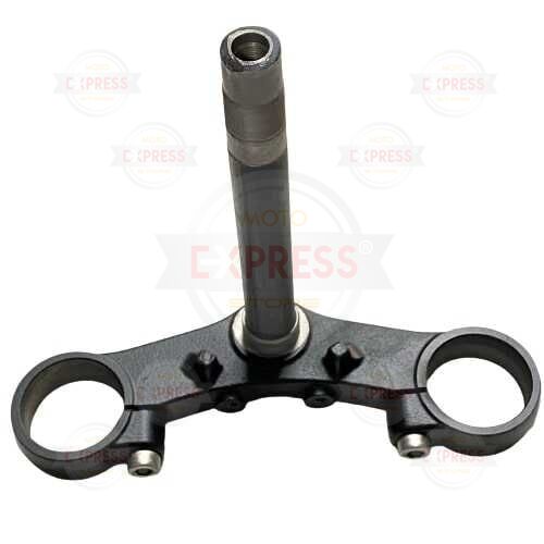 Moto Express MAŞA R25 A 2019