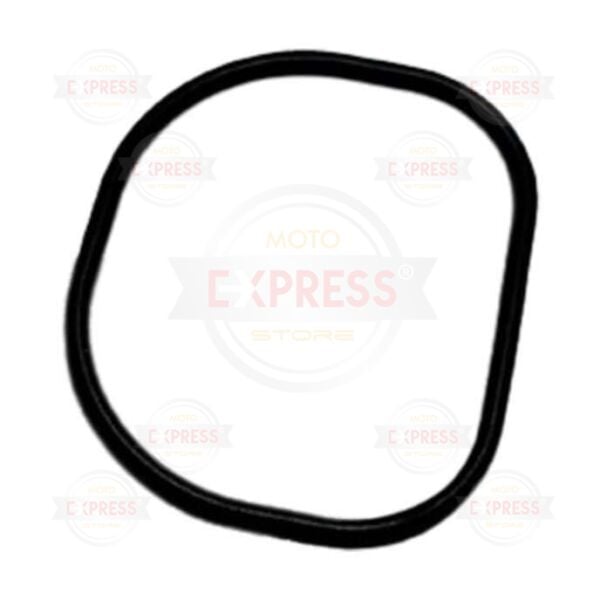 Honda Forza250-300 2014-2020 Manifold Fiberi Oringi Contası A