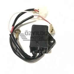 Moto Express BEYİN 5 KABLOLU PRİDE80
