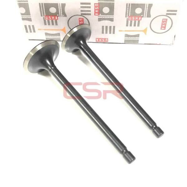 Moto Express SUPAP AN-125 TK USHA