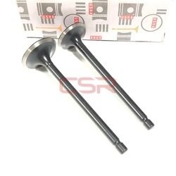 Moto Express SUPAP AN-125 TK USHA