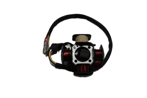 CG 100 DİK MOTOR 4V 4'LÜ STATÖR 5 KABLO BEZ BOBİNLİ AC