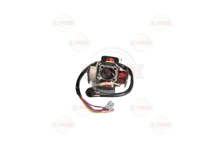 Cg 125 4'Lü Statör 6 Kablo Bez Bobinli Ac