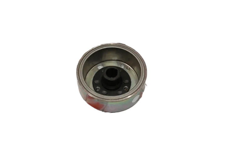 BWS 100 MANYETO ROTOR
