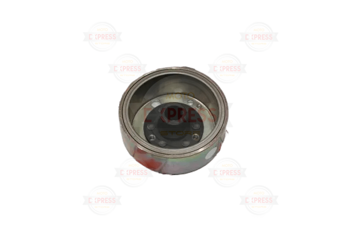 Bws 100 Manyeto Rotor