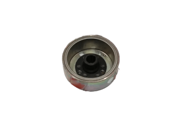 BWS 100 MANYETO ROTOR
