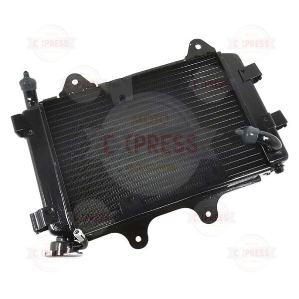 Bajaj Dominar D250 D400 2017-2025 Radyatör A