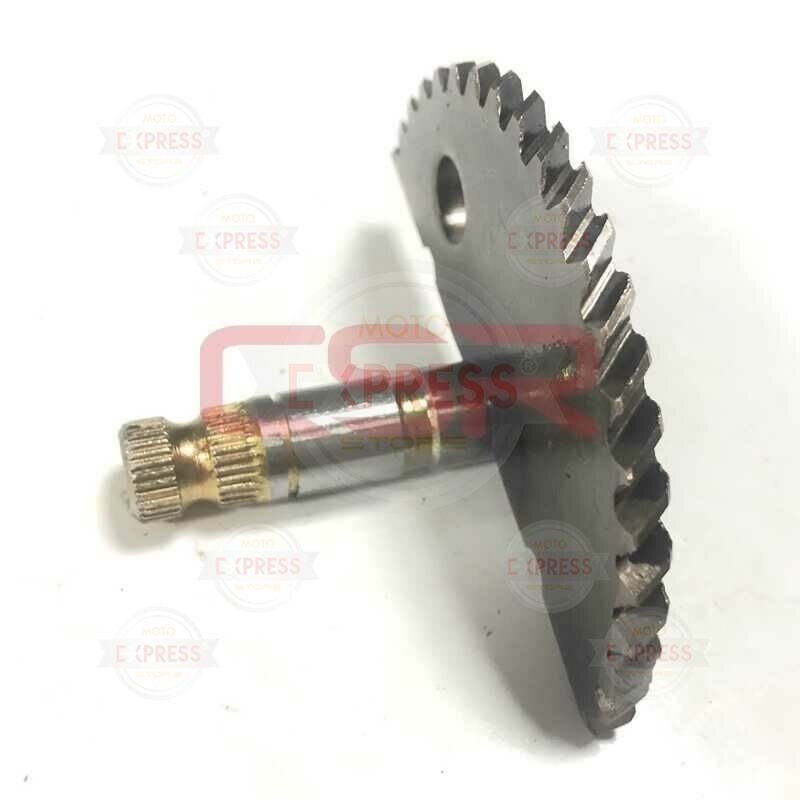 Moto Express MARŞ MİLİ PEJO TREKKER