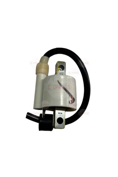 Bajaj Discover 125ST 150F 150S Sol Elektronik Ateşleme Bobini A