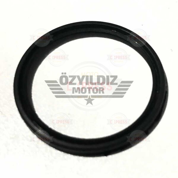 Moto Express KASNAK KEÇESİ PEP