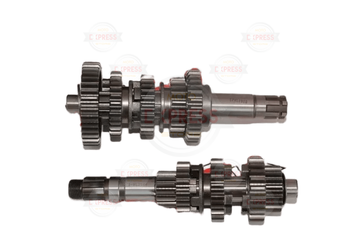 Regal Raptor Şanzuman 18Cm