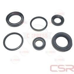 Moto Express KEÇE 6'LI PEP  TK CSR